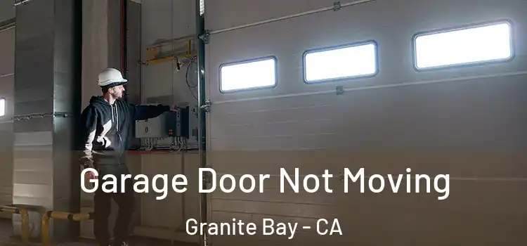  Garage Door Not Moving Granite Bay - CA